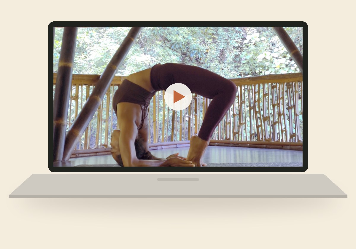 Indy's online yoga video playing on a laptop